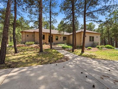 3925 Wavy Oak Drive