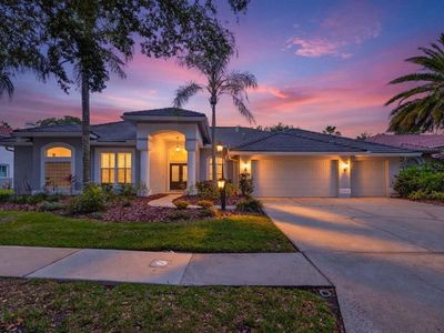 17820 Osprey Pointe Pl