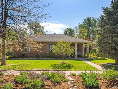 2670 Grape Street