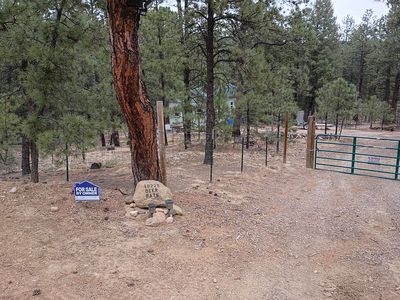 Property at 19228 Deer Path Cir, Weston, CO