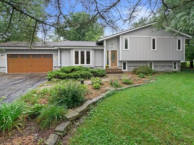 W5127 Hawkhunter ROAD