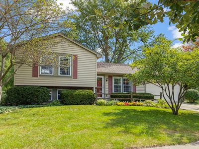 30W241 Bedford Ln