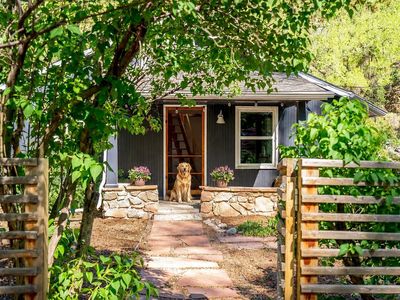 31 Silver Spruce