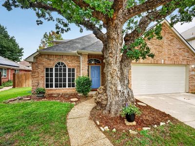 3841 Centenary Dr