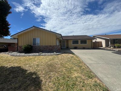 381 Lily Street