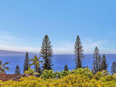 50 Puu Anoano St APT 3905