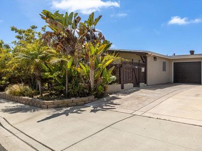 248 Coneflower St