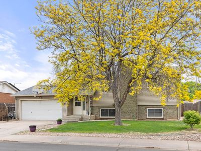 Property at 905 Woodbine Dr, Windsor, CO