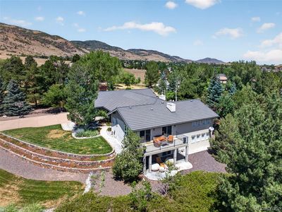 8 Silver Aspen