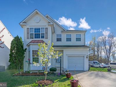 3033 Sassafras Tree Ct