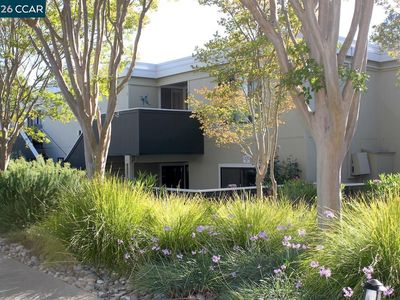 2057 Golden Rain Rd APT 8