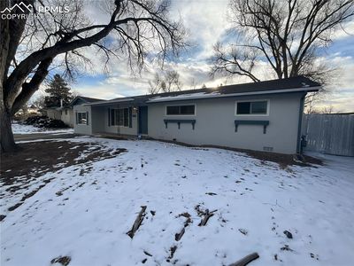 205 Grape Dr