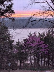 649 Jackson Hollow Road