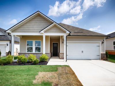 29519 Satilla Cir