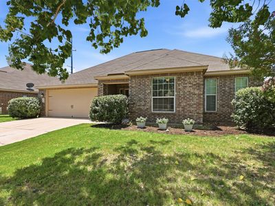 413 Water Oak