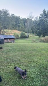 41 Red Bird Dr