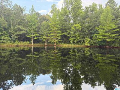 299 County Road 443