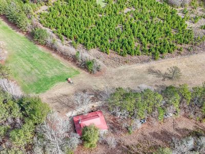 586 Dallas County Rd #953