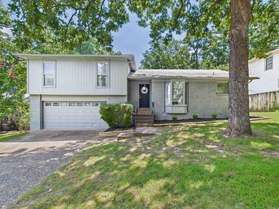 9 Golden Oak Cv
