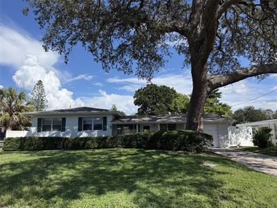 331 SHIRLEY AVENUE
