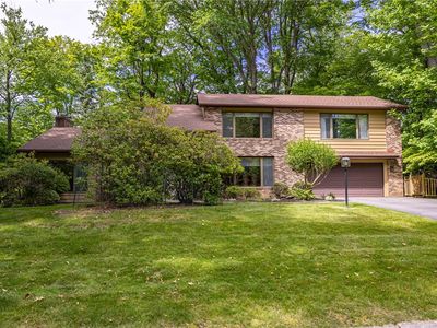 17 Tuliptree Ln