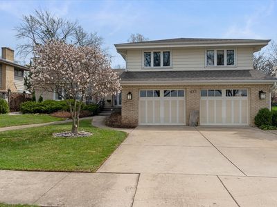 631 S Fern Ct