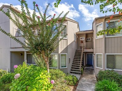 3489 Wine Barrel Way