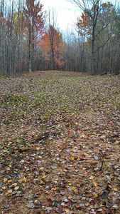 16 Mile Rd