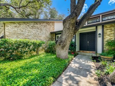 13914 Sugarberry Woods Street