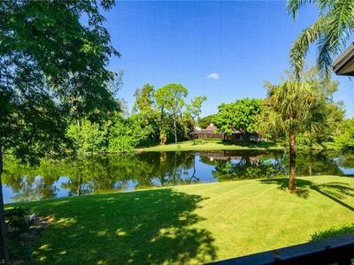 1561 Oyster Catcher PT #1561B