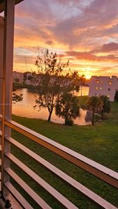8000 N Sunrise Lakes Dr APT 309