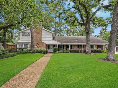 103 Beaver Tail Point