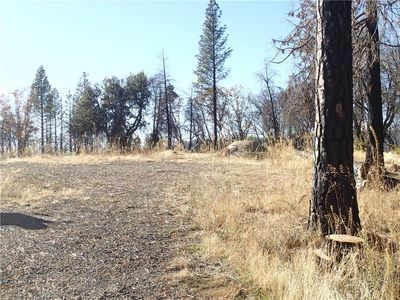 Property at 51 Horseshoe Trl, Berry Creek, CA