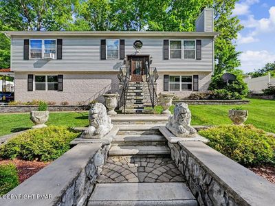 515 Crocus Dr