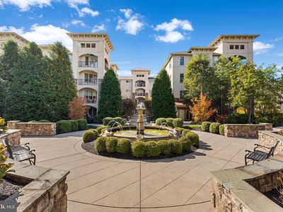 447 Cornerstone Dr #447