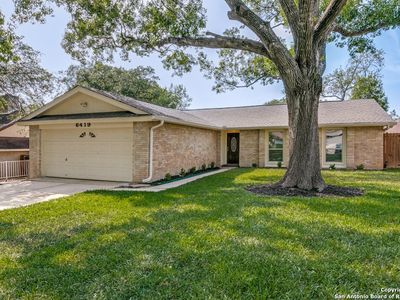 6419 ridge tree