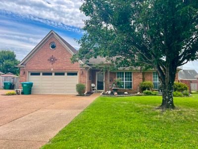50 Village Dr