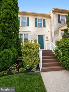 20249 Red Buckeye Ct