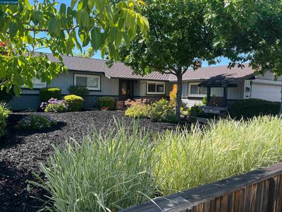 1543 American Beauty Dr