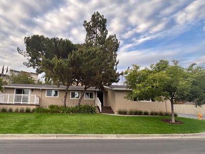 260 Mountain Springs Dr #260
