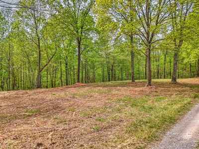 Property at 0 Rbk Ln, Bethpage, TN