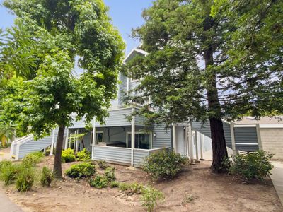 41 Grandview St APT 1402