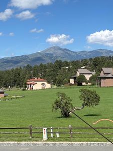 551 White Mountain Meadows Dr