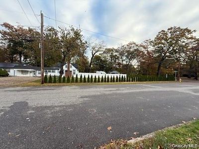 21 Locust Avenue