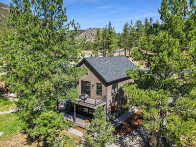 46 Larkspur Street
