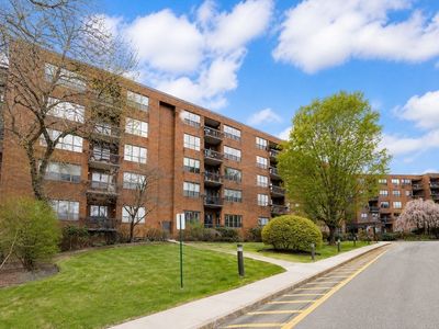 210 Nahanton St APT 102