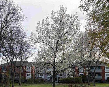 113 Cluff Crossing Road #28