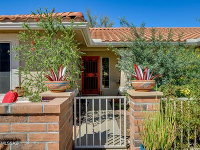 2379 E Nasturtium St