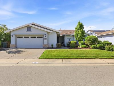 1184 Segolily Ln