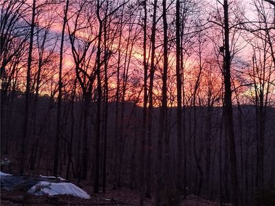 391 County Road 1486